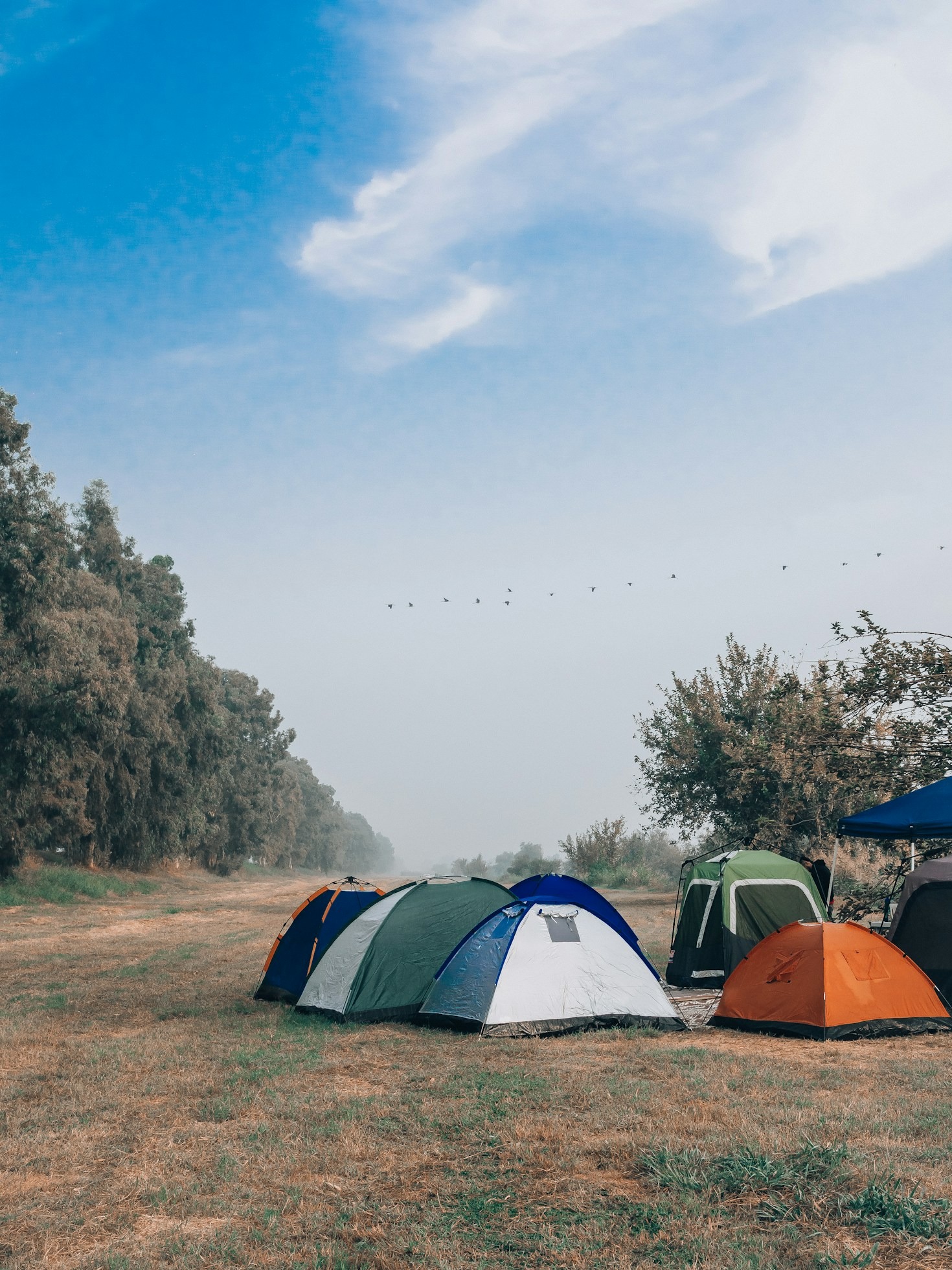 How to Choose the Right Tent for Your Adventures